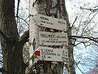 Trojmez&iacute;